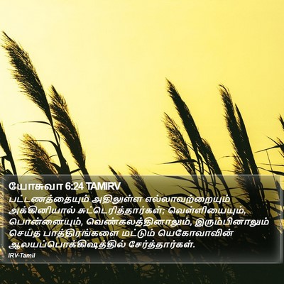 யோசுவா 6:24 TAMIRV Bible Verse Image