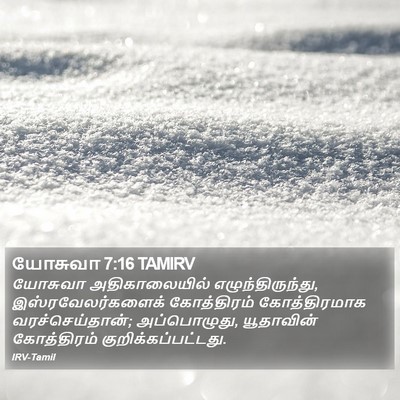 யோசுவா 7:16 TAMIRV Bible Verse Image