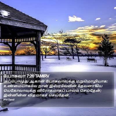 யோசுவா 7:20 TAMIRV Bible Verse Image