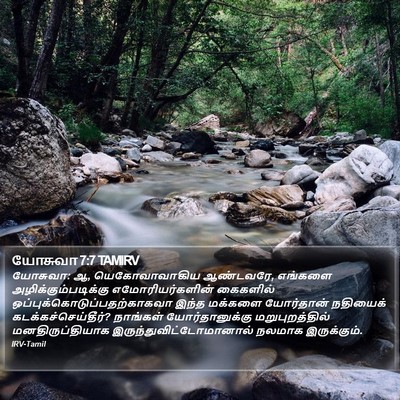 யோசுவா 7:7 TAMIRV Bible Verse Image