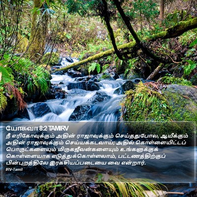 யோசுவா 8:2 TAMIRV Bible Verse Image