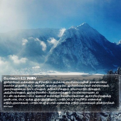 யோசுவா 8:33 TAMIRV Bible Verse Image