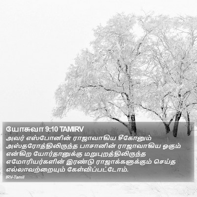 யோசுவா 9:10 TAMIRV Bible Verse Image