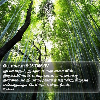 யோசுவா 9:25 TAMIRV Bible Verse Image