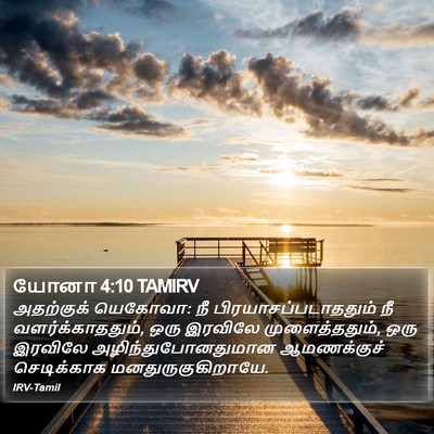 யோனா 4:10 TAMIRV Bible Verse Image