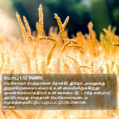 யோபு 1:12 TAMIRV Bible Verse Image