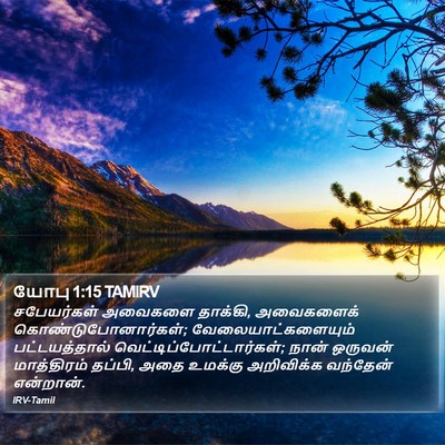 யோபு 1:15 TAMIRV Bible Verse Image