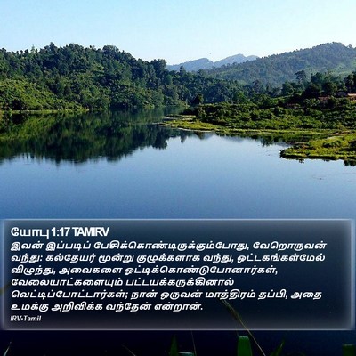 யோபு 1:17 TAMIRV Bible Verse Image