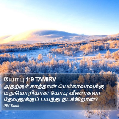 யோபு 1:9 TAMIRV Bible Verse Image