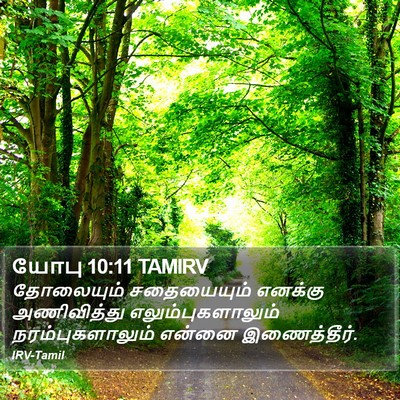 யோபு 10:11 TAMIRV Bible Verse Image