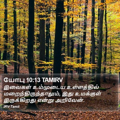 யோபு 10:13 TAMIRV Bible Verse Image