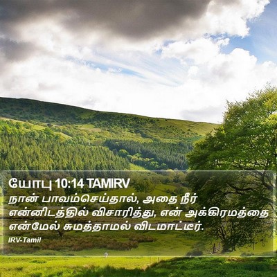 யோபு 10:14 TAMIRV Bible Verse Image