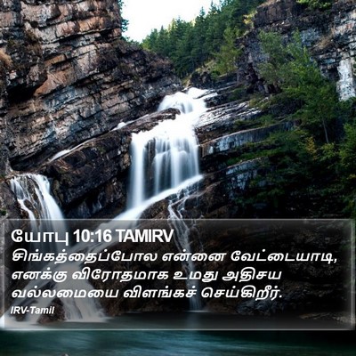 யோபு 10:16 TAMIRV Bible Verse Image
