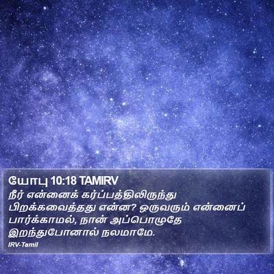யோபு 10:18 TAMIRV Bible Verse Image