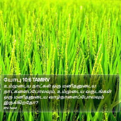 யோபு 10:6 TAMIRV Bible Verse Image
