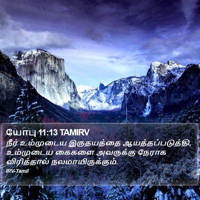யோபு 11:13 TAMIRV Bible Verse Image