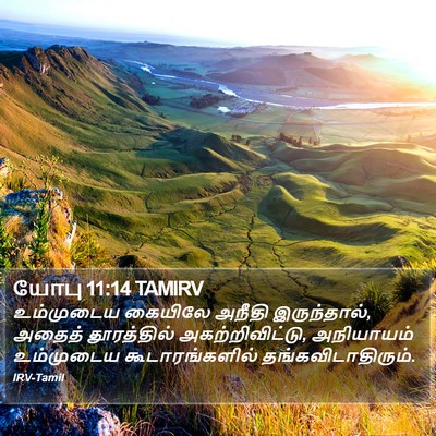 யோபு 11:14 TAMIRV Bible Verse Image