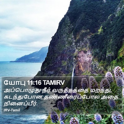 யோபு 11:16 TAMIRV Bible Verse Image