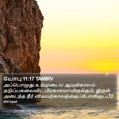 யோபு 11:17 TAMIRV Bible Verse Image