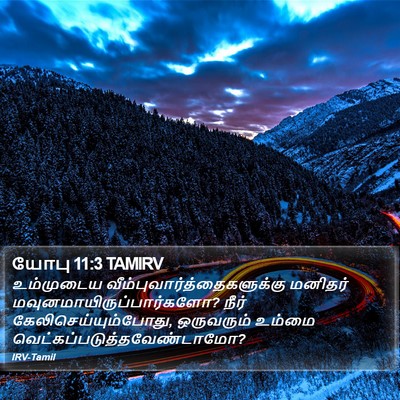 யோபு 11:3 TAMIRV Bible Verse Image