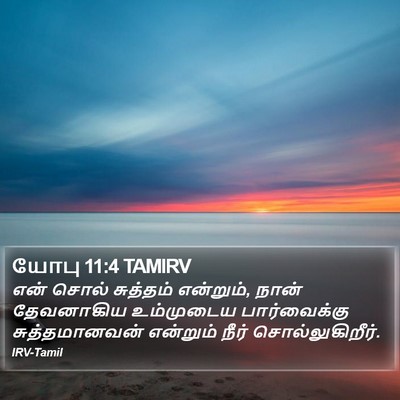 யோபு 11:4 TAMIRV Bible Verse Image