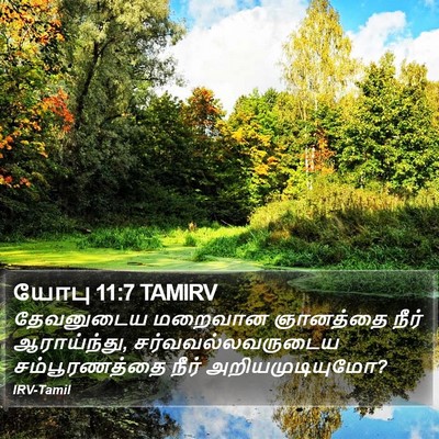 யோபு 11:7 TAMIRV Bible Verse Image