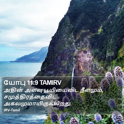 யோபு 11:9 TAMIRV Bible Verse Image