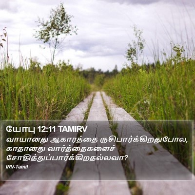 யோபு 12:11 TAMIRV Bible Verse Image