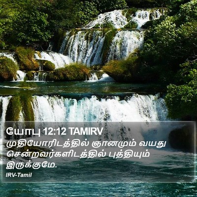 யோபு 12:12 TAMIRV Bible Verse Image