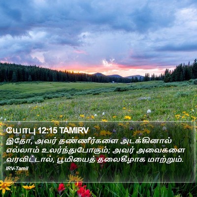 யோபு 12:15 TAMIRV Bible Verse Image