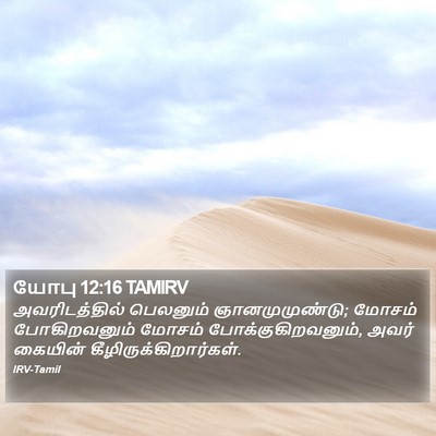 யோபு 12:16 TAMIRV Bible Verse Image