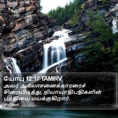 யோபு 12:17 TAMIRV Bible Verse Image