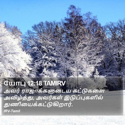 யோபு 12:18 TAMIRV Bible Verse Image