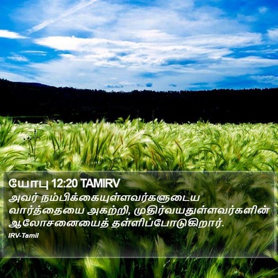 யோபு 12:20 TAMIRV Bible Verse Image