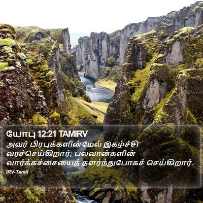 யோபு 12:21 TAMIRV Bible Verse Image