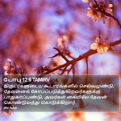 யோபு 12:6 TAMIRV Bible Verse Image