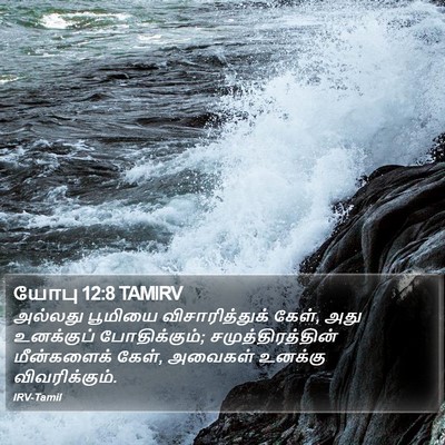 யோபு 12:8 TAMIRV Bible Verse Image