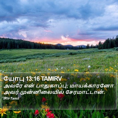 யோபு 13:16 TAMIRV Bible Verse Image