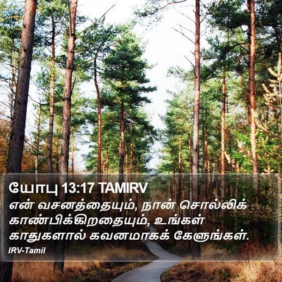 யோபு 13:17 TAMIRV Bible Verse Image