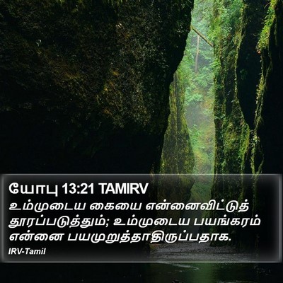 யோபு 13:21 TAMIRV Bible Verse Image