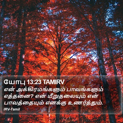 யோபு 13:23 TAMIRV Bible Verse Image