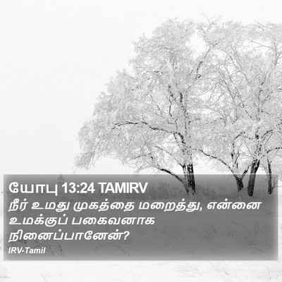 யோபு 13:24 TAMIRV Bible Verse Image