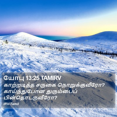 யோபு 13:25 TAMIRV Bible Verse Image