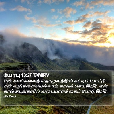 யோபு 13:27 TAMIRV Bible Verse Image