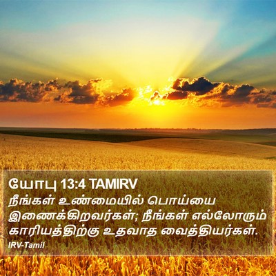 யோபு 13:4 TAMIRV Bible Verse Image