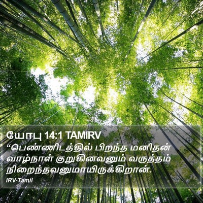 யோபு 14:1 TAMIRV Bible Verse Image