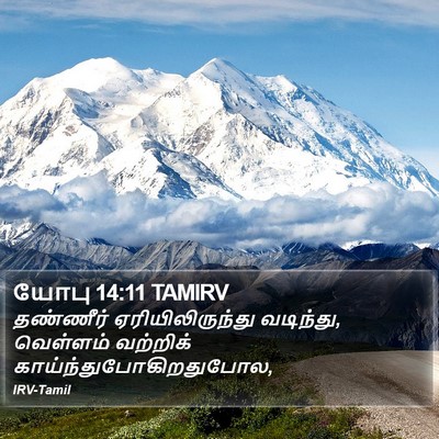 யோபு 14:11 TAMIRV Bible Verse Image