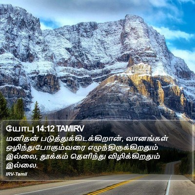 யோபு 14:12 TAMIRV Bible Verse Image