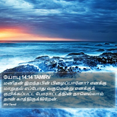 யோபு 14:14 TAMIRV Bible Verse Image