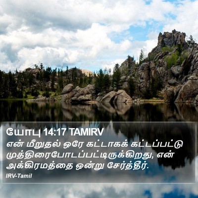 யோபு 14:17 TAMIRV Bible Verse Image